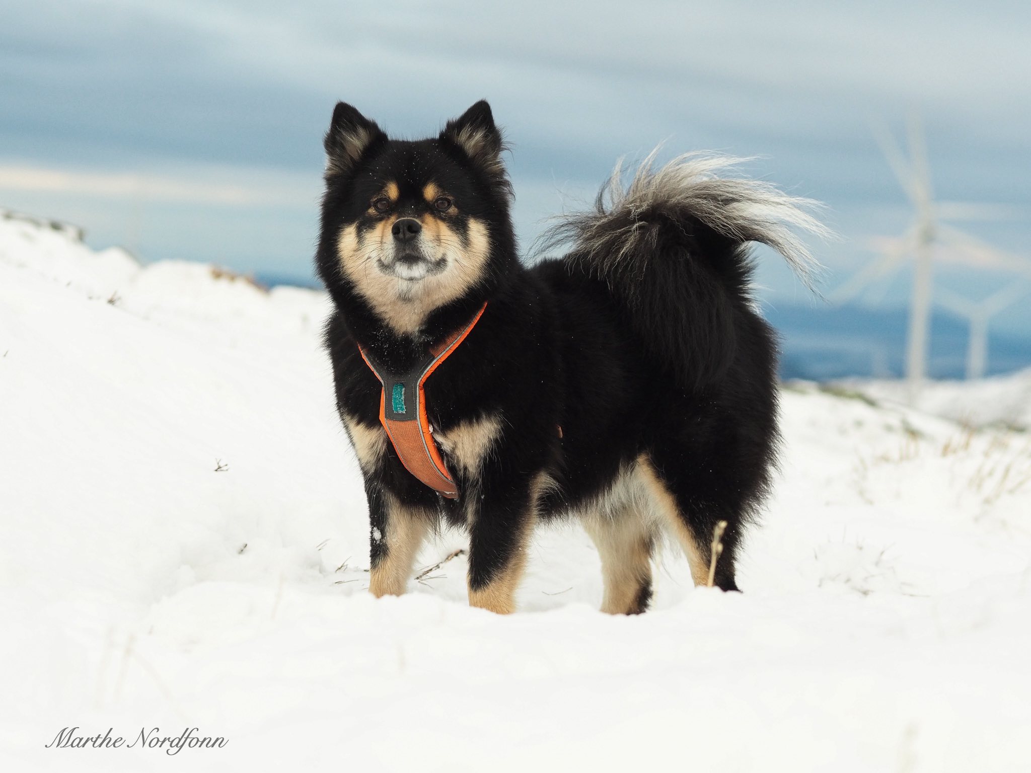 Luna