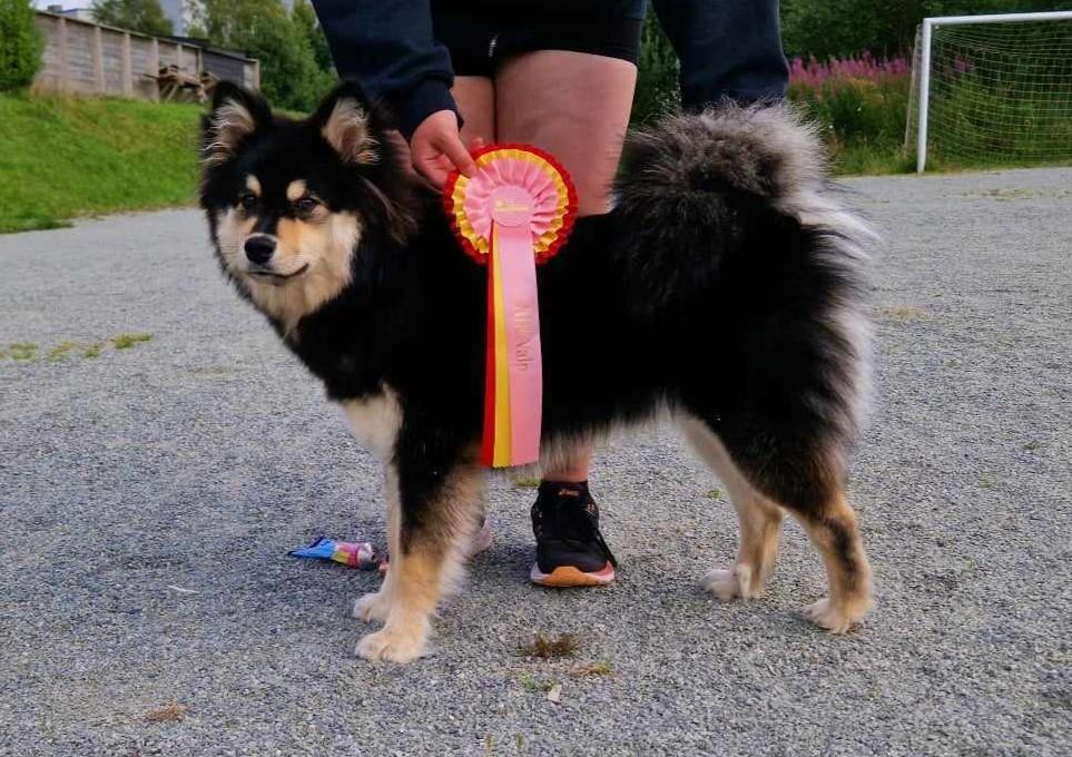 Lilja