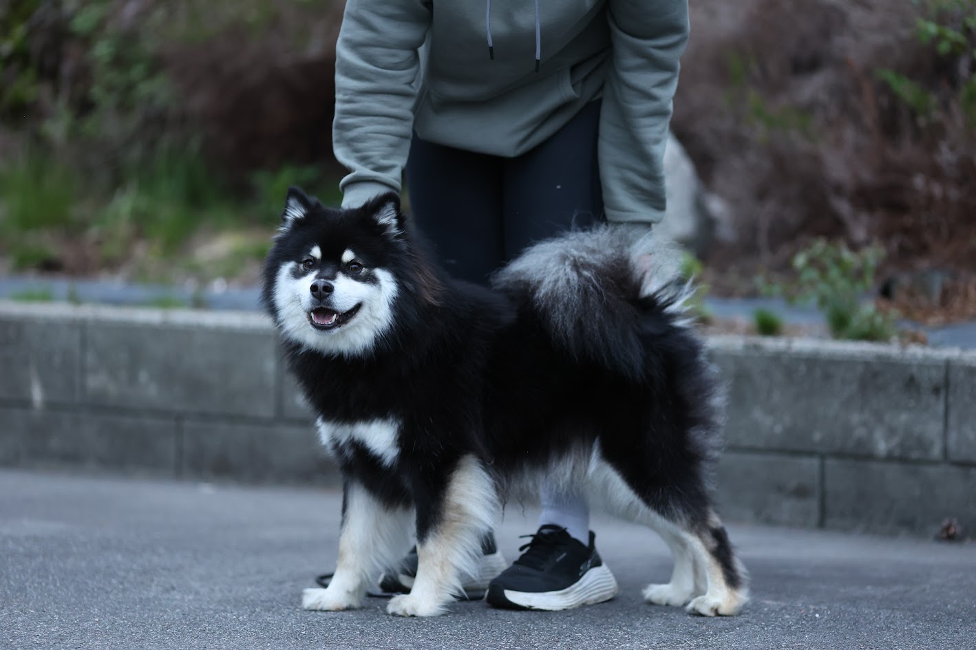 Felix